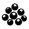 icon-black-pepper-extract-filled