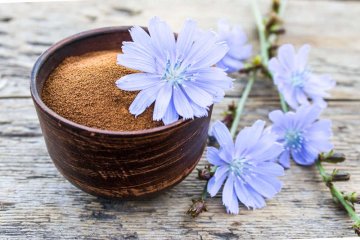 Inulín - je čekanková vláknina zdravá?